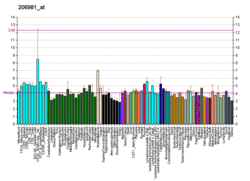 PBB GE SCN4A 206981 at fs.png