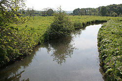 River Hamps near Winkhill - geograph.org.uk - 455672.jpg