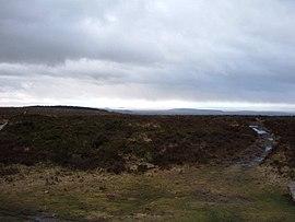 Beacon batch lowres.jpg