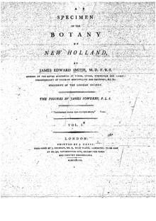 A specimen of the botany of New Holland - p. i.png