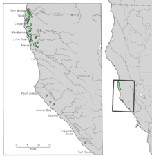 Cupressus pygmaea range map 4.png