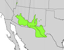 Yucca elata range map.jpg