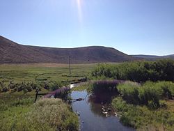 2013-07-12 08 38 30 View downstream along the North Fork Humboldt River from Nevada State Route 225 (Mountain City Highway) near North Fork Nevada.jpg