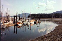 North Cowichan Skyline.jpg
