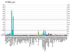 PBB GE MSH6 211450 s at fs.png