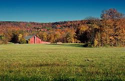 A farm in the township