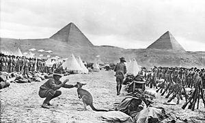 A soldier with a kangaroo amidst a military camp in front of the pyramids
