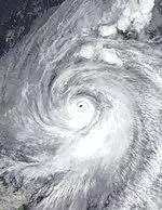 Tokage 2004-10-16 1706Z.jpg