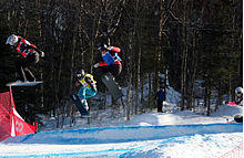 Stoneham Maltais Anthonioz.jpg
