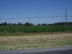 Cornfields along Interstate 75