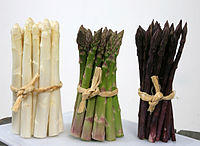 Aceera Nederlandse asperge wit groen paars 363 2416.jpg