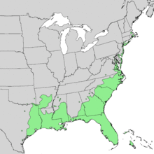 Baccharis halimifolia range map 1.png