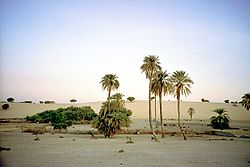 Oasis town of Mao