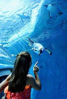Detroit Zoo-PPCC.jpg