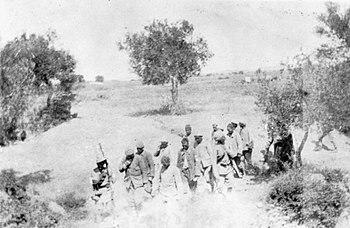 Chunuk Bair POWs.jpg