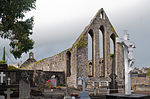 Nenagh Friary SE 2010 09 08.jpg