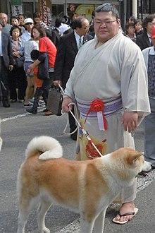 Celebration parade of Takekaze 2016-10.jpg