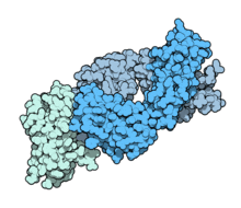 Ipilimumab 5TRU.png