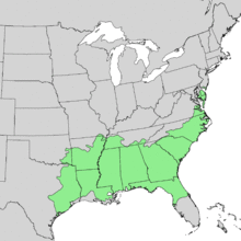 Quercus nigra range map 1.png