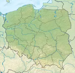 Rzeszów is located in Poland
