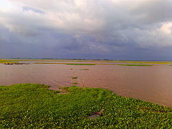 Titas River.jpg