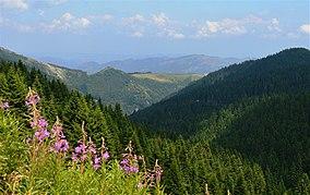 Kopaonik 0691.jpg