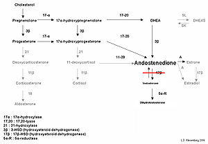 Test biosynth 17BHSD3.jpg