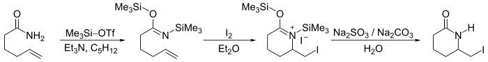 Iodolactamization reaction