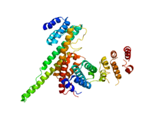 Protein NUP107 PDB 3CQC.png
