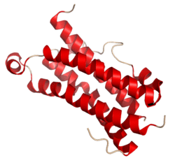 OncostatinM Crystal Structure.rsh.png