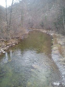 Veliki rzav, roge, 2014.jpg