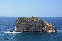 Fungus rock 2017.jpg