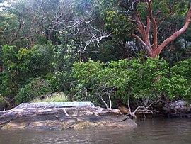 Hawkesbury River 05.jpg