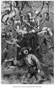 Frontispiece