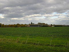 A green picture. Grassy field margins in the immediate foreground, and behind a vigorously-leafed field of beet, a slightly darker green. On the horizon is a cluster of modern barns, and a modern farmhouse with an older building on the left. Above them all is a sky mostly dark with cumulus clouds, with the palest patch of blue above our heads.