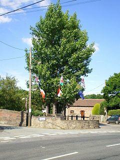 The Arbor Tree of Aston on Clun - geograph.org.uk - 837232.jpg