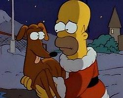 HomerAdoptingDog.jpg
