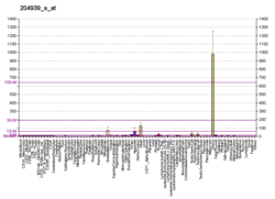 PBB GE PLN 204939 s at fs.png