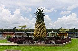 Sarikei pineapple symbol.jpg