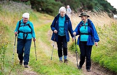 Three people on a walk
