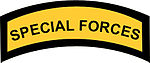 Special Forces Shoulder Sleeve Insignia.jpg