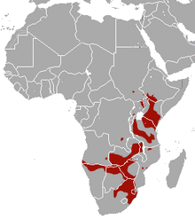 Plains Zebra area.png