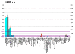 PBB GE ITGB2 202803 s at fs.png