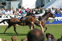 The Winner by 3 quarters of a length - Cluden Creek.jpg