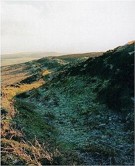 Penyclodd RO.jpg