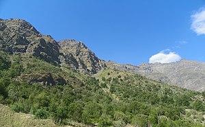 Cajón Del Maipo, Región Metropolitana, Chile - panoramio - Nelson Pérez.jpg