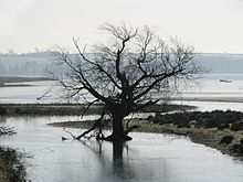 Eyebrook Reservoir, East Midlands, England-7Feb2007.jpg