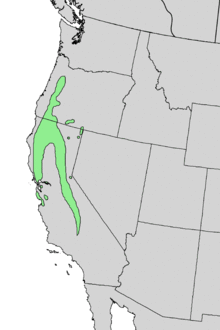 Prunus subcordata range map 3.png