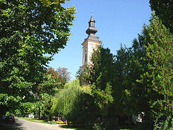 The Orthodox Church