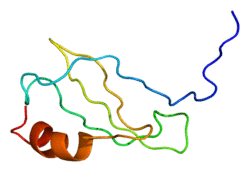 Protein CXCL11 PDB 1rjt.png